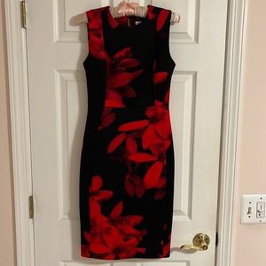 Calvin Klein Sleeveless Black and Red Floral Scuba Dress size 2